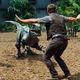 Illustration for article titled Jurassic Zoo Might Be The Best Meme Ever
